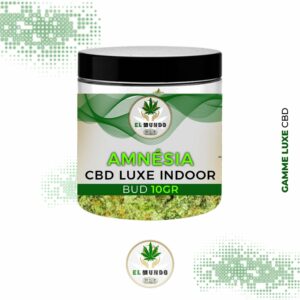 Pot Fleurs CBD Amnésia Big Bud Indoor 10GR