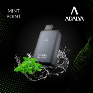Puff 10000 Adalya Mint Point