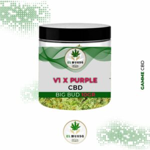 Pot Fleurs CBD V1 X Purple Big Bud Indoor Hydro 10GR