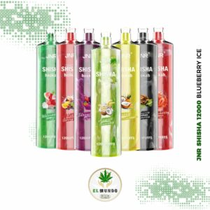 JNR Shisha 12000 Blueberry Ice